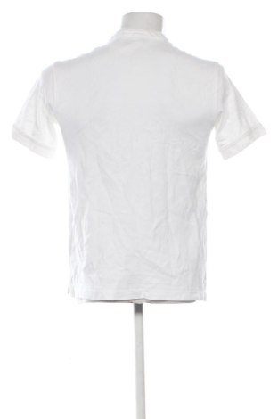 Herren T-Shirt Zara, Größe L, Farbe Weiß, Preis € 13,99