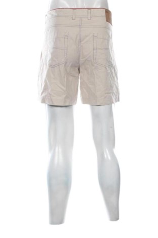 Herren Shorts Island, Größe L, Farbe Beige, Preis 19,99 €