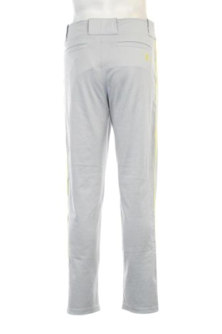 Herrenhose Nike, Größe M, Farbe Grau, Preis 28,00 €