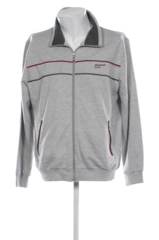 Мъжко спортно горнище Catamaran, Размер L, Цвят Сив, Цена 14,31 €