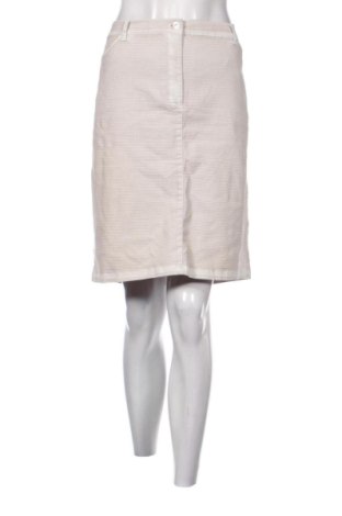 Rock Betty Barclay, Größe XXL, Farbe Beige, Preis 28,00 €