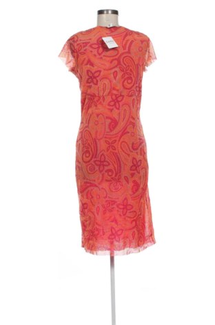 Kleid Bon'a Parte, Größe L, Farbe Mehrfarbig, Preis 43,06 €