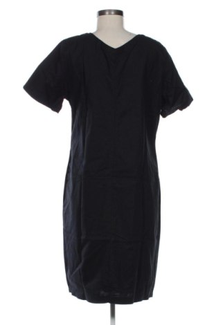 Kleid Bpc Bonprix Collection, Größe XL, Farbe Schwarz, Preis 20,00 €