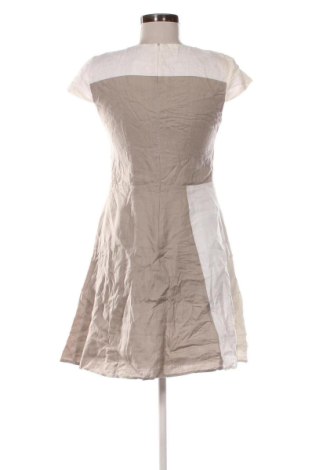 Kleid Burton of London, Größe S, Farbe Mehrfarbig, Preis € 32,99