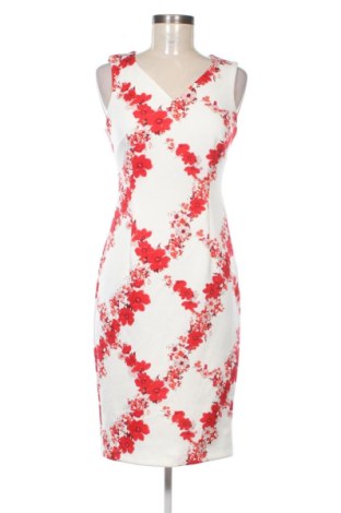 Kleid Dorothy Perkins, Größe M, Farbe Mehrfarbig, Preis 17,99 €