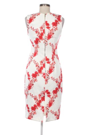 Kleid Dorothy Perkins, Größe M, Farbe Mehrfarbig, Preis 17,99 €