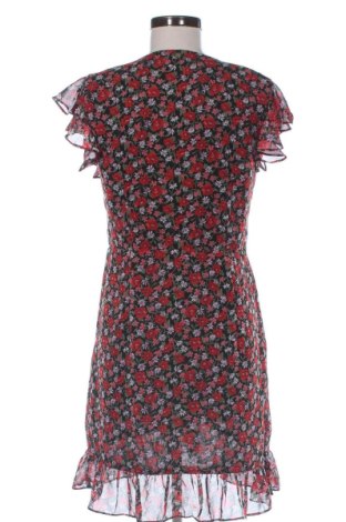 Kleid Freebird, Größe XS, Farbe Mehrfarbig, Preis 54,99 €