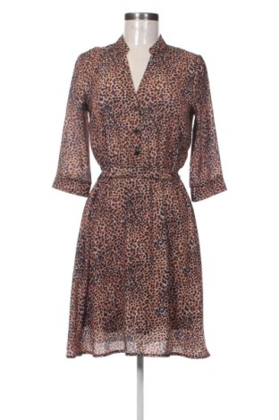 Kleid Freebird, Größe XS, Farbe Mehrfarbig, Preis 54,99 €