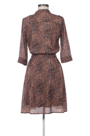 Kleid Freebird, Größe XS, Farbe Mehrfarbig, Preis 54,99 €
