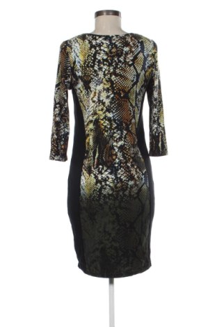Φόρεμα Gemma Collins, Μέγεθος XL, Χρώμα Πολύχρωμο, Τιμή 20,00 €