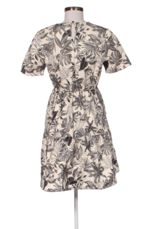 Kleid Kocca, Größe S, Farbe Mehrfarbig, Preis 54,99 €