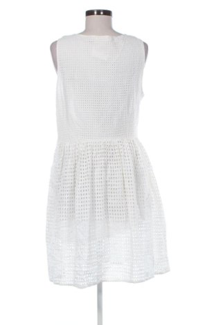 Kleid MICHAEL Michael Kors, Größe M, Farbe Ecru, Preis 137,99 €