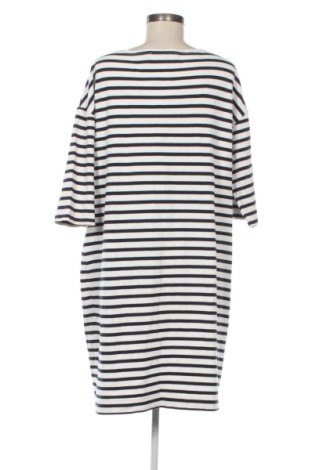 Kleid Sissy Boy, Größe XL, Farbe Mehrfarbig, Preis 25,99 €