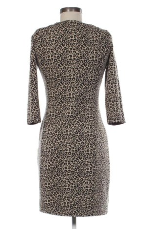 Kleid Sweet Miss, Größe S, Farbe Mehrfarbig, Preis 15,00 €
