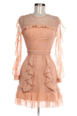 Kleid True Decadence, Größe XS, Farbe Orange, Preis 49,00 €, #136587685