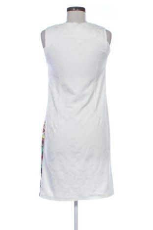 Kleid Unbranded, Größe L, Farbe Mehrfarbig, Preis 19,95 €