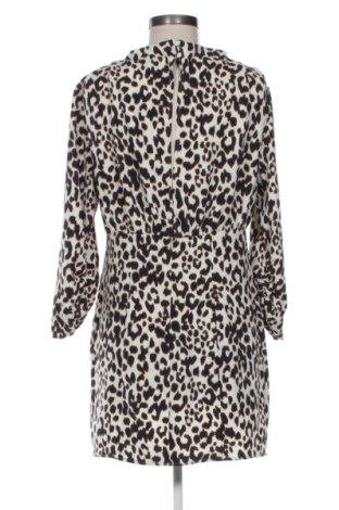 Kleid Zara, Größe L, Farbe Mehrfarbig, Preis 13,80 €