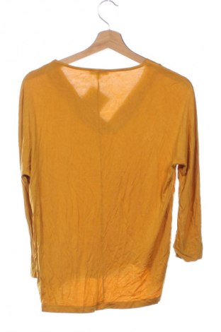Γυναικεία μπλούζα More & More, Μέγεθος XS, Χρώμα Κίτρινο, Τιμή 3,99 €