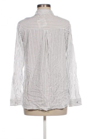 Damenbluse Alcott, Größe L, Farbe Mehrfarbig, Preis 3,99 €