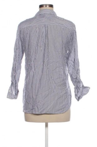 Damenbluse Zara, Größe S, Farbe Mehrfarbig, Preis 3,99 €