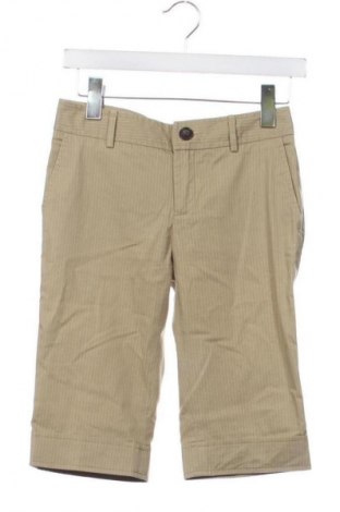 Damen Shorts Zara, Größe S, Farbe Mehrfarbig, Preis € 2,99