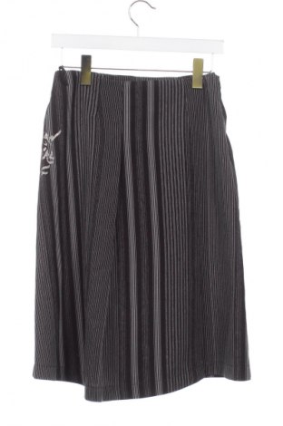 Детска пола Unbranded, Размер 15-18y/ 170-176 см, Цвят Многоцветен, Цена 2,04 €