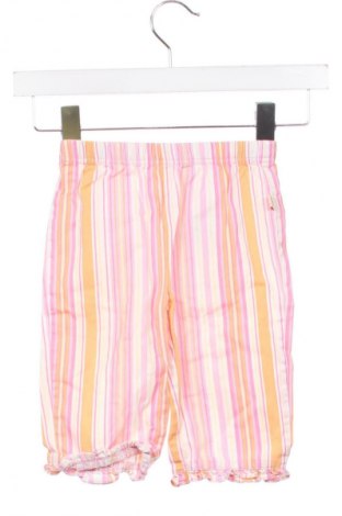 Dziecięce spodnie Unbranded, Rozmiar 6-9m/ 68-74 cm, Kolor Kolorowy, Cena 6,99 zł