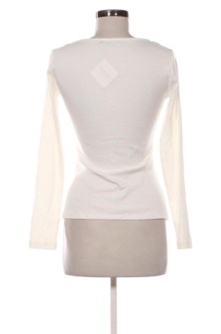 Damen Shirt Anna Field, Größe S, Farbe Ecru, Preis 12,99 €