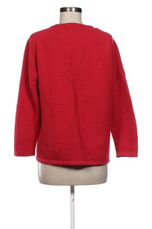 Damen Shirt Cecil, Größe XL, Farbe Rot, Preis 17,00 €