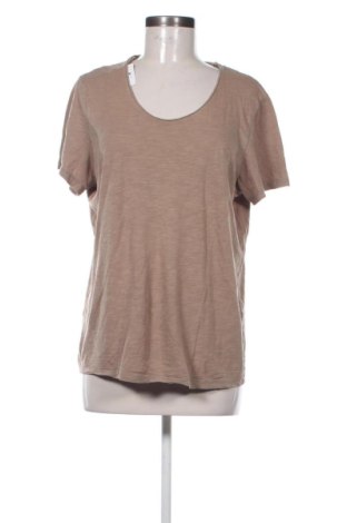 Damen Shirt Clockhouse, Größe XL, Farbe Braun, Preis 9,78 €, #136663548