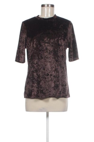 Damen Shirt Esqualo, Größe M, Farbe Braun, Preis 17,99 €