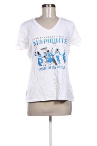 Damen Shirt Fruit Of The Loom, Größe L, Farbe Mehrfarbig, Preis 10,00 €, #136666584