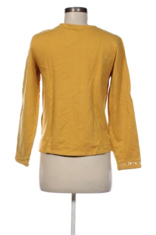 Damen Shirt Springfield, Größe S, Farbe Orange, Preis 13,80 €