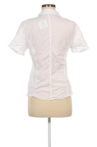 Damenbluse Flora & Co, Größe L, Farbe Weiß, Preis 17,00 €