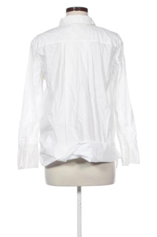 Damenbluse Mango, Größe L, Farbe Weiß, Preis 13,81 €