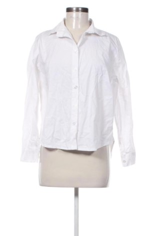 Damska koszula NEW COLLECTION, Rozmiar L, Kolor Biały, Cena 110,99 zł