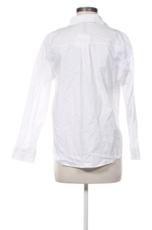 Damska koszula NEW COLLECTION, Rozmiar L, Kolor Biały, Cena 110,99 zł