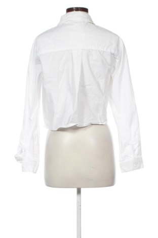Damenbluse Sinsay, Größe S, Farbe Weiß, Preis 13,00 €
