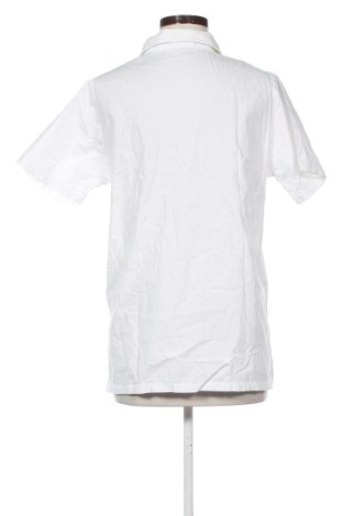Дамска риза Unbranded, Размер L, Цвят Многоцветен, Цена 13,00 €