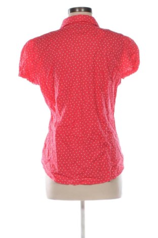 Damenbluse Up 2 Fashion, Größe M, Farbe Mehrfarbig, Preis € 16,99