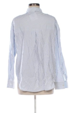 Damenbluse Zara, Größe S, Farbe Mehrfarbig, Preis 13,81 €