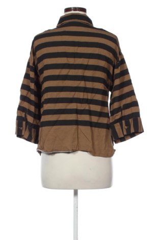 Damenbluse Zara, Größe L, Farbe Mehrfarbig, Preis 14,00 €