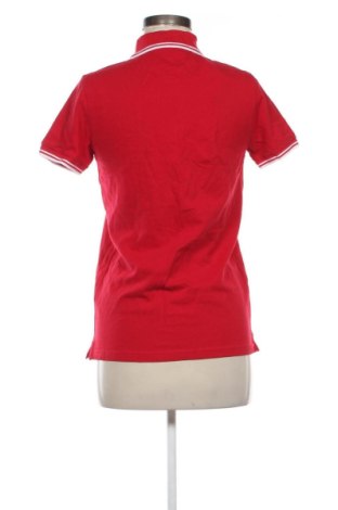 Damen T-Shirt Terranova, Größe S, Farbe Rot, Preis 10,00 €