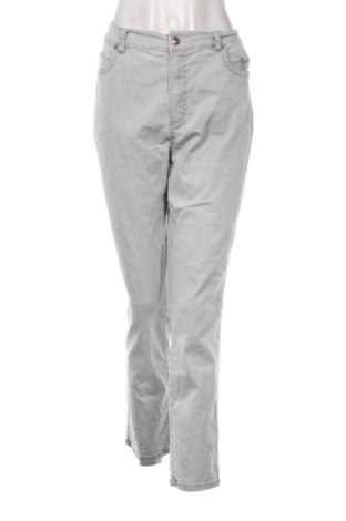 Γυναικείο Τζίν Unbranded, Μέγεθος XXL, Χρώμα Γκρί, Τιμή 17,99 €