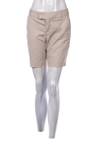 Damen Shorts Calvin Klein, Größe L, Farbe Beige, Preis 46,00 €, #136587597