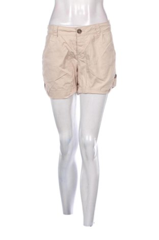 Damen Shorts Terranova, Größe XL, Farbe Beige, Preis 9,70 €, #136658099