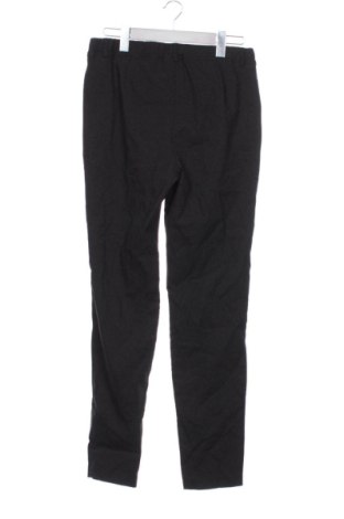 Damskie legginsy Adelina By Scheiter, Rozmiar L, Kolor Kolorowy, Cena 72,99 zł
