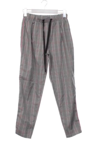Damskie spodnie Motivi, Rozmiar XS, Kolor Kolorowy, Cena 148,99 zł