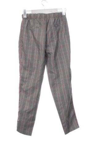 Damskie spodnie Motivi, Rozmiar XS, Kolor Kolorowy, Cena 148,99 zł