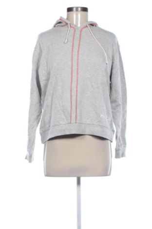 Damen Sweatshirt CLS, Größe XL, Farbe Grau, Preis € 15,00, #136673363